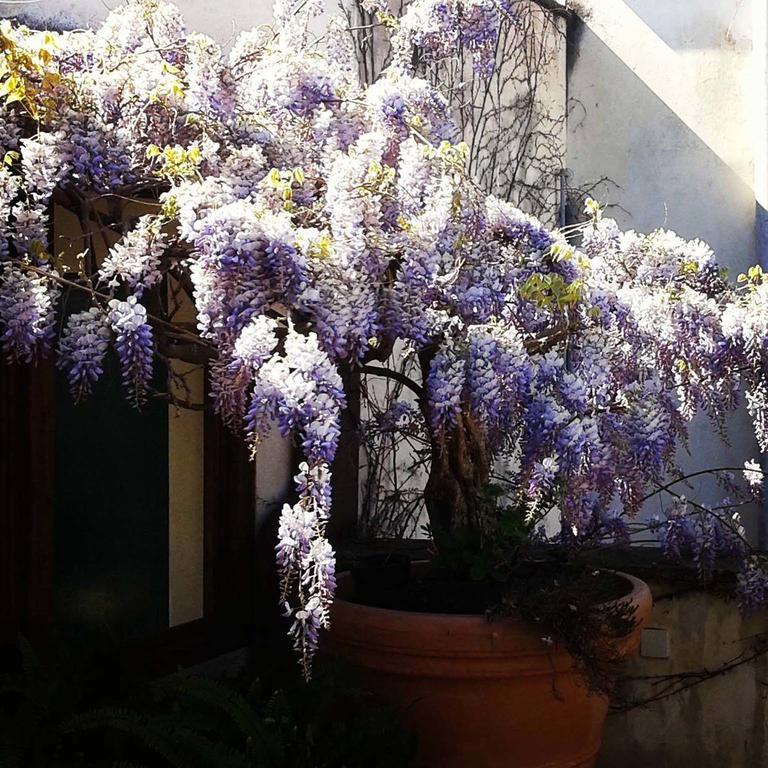 B&B Le Terrazze Bisceglie Buitenkant foto