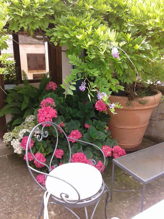 B&B Le Terrazze Bisceglie Buitenkant foto
