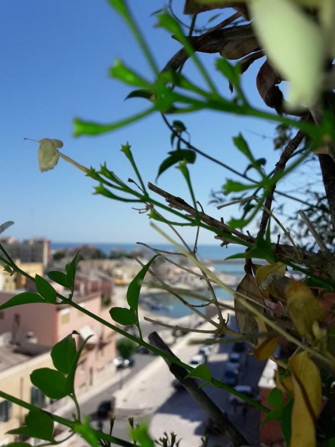 B&B Le Terrazze Bisceglie Buitenkant foto